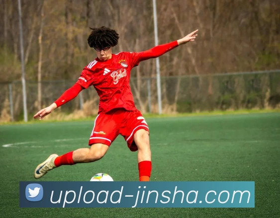 金沙娱乐城服务体系